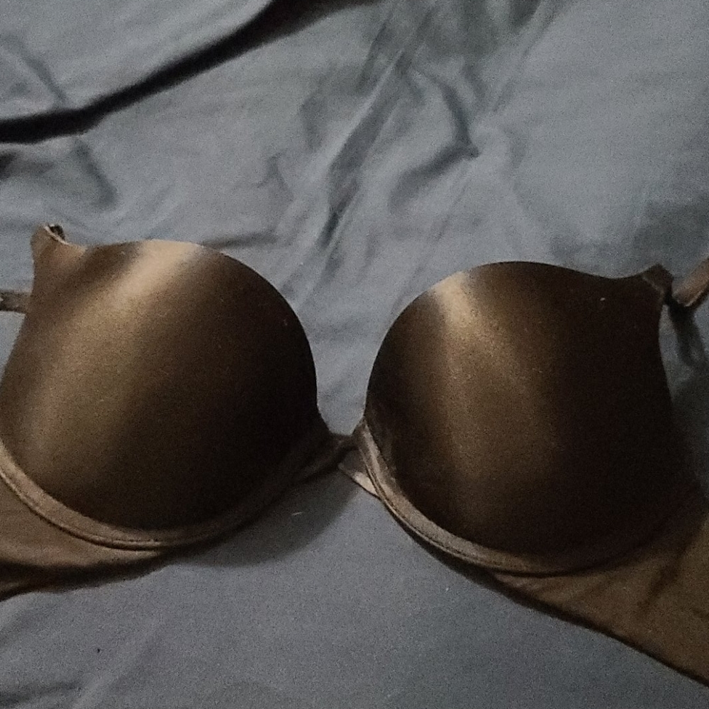 Victoria's Secret Plunge Push-Up Bra